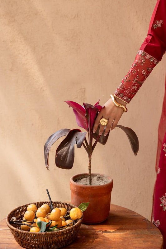 Starburst 3Pc - Embroidered Solid Dress