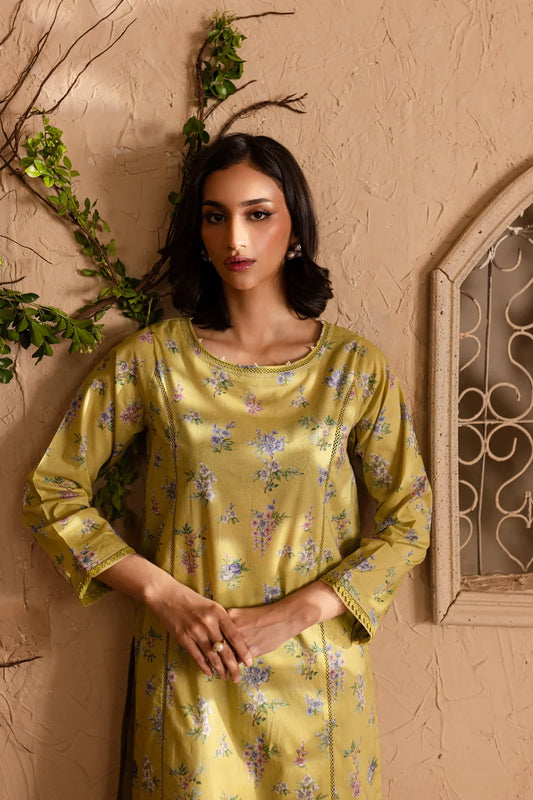 Araa 2Pc - Printed Lawn Dress-